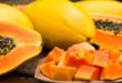 Manfaat Buah Pepaya untuk Ibu Menyusui