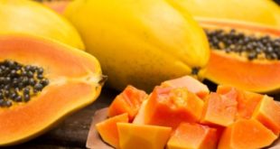 Manfaat Buah Pepaya untuk Ibu Menyusui