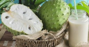 Manfaat Jus Buah Sirsak untuk Kesehatan Tubuh