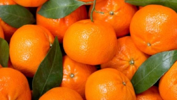 Manfaat dan Khasiat Buah Jeruk bagi Kesehatan