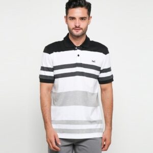 Carvil Men Polo Shirts Multi Color (19.ART.MTC.H9)